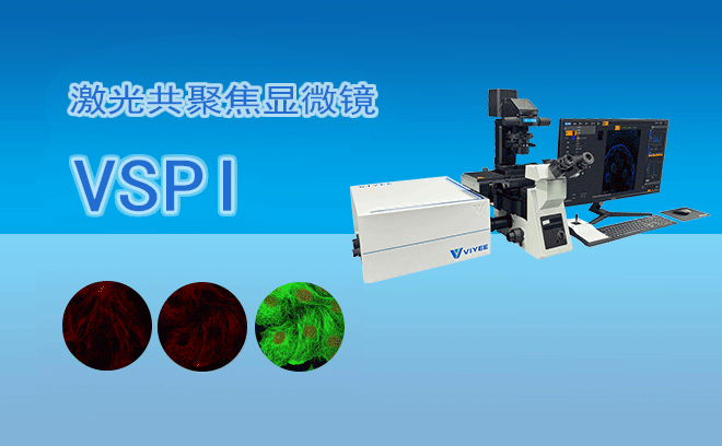 1762234651163145.png 激光共聚焦顯微鏡VSPI.png